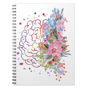 Carnet Anatomie du cerveau