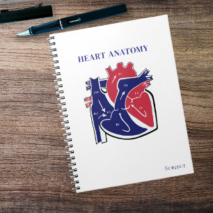 Carnet Anatomie du cœur-