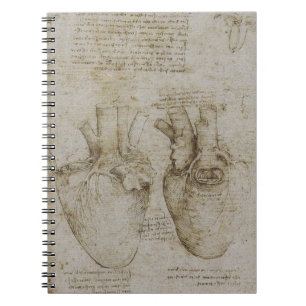 Carnet Anatomie du coeur de da Vinci