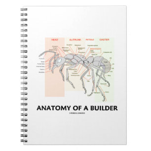 Carnet Anatomie d'un constructeur (anatomie de fourmi de
