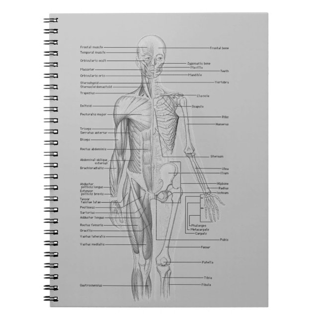 Carnet Anatomie grise (Devant)