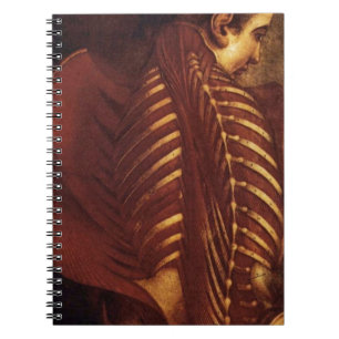 Carnet Anatomie/Squelette de femelle