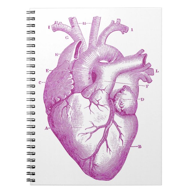 Carnet Anatomie vintage pourpre de coeur (Devant)