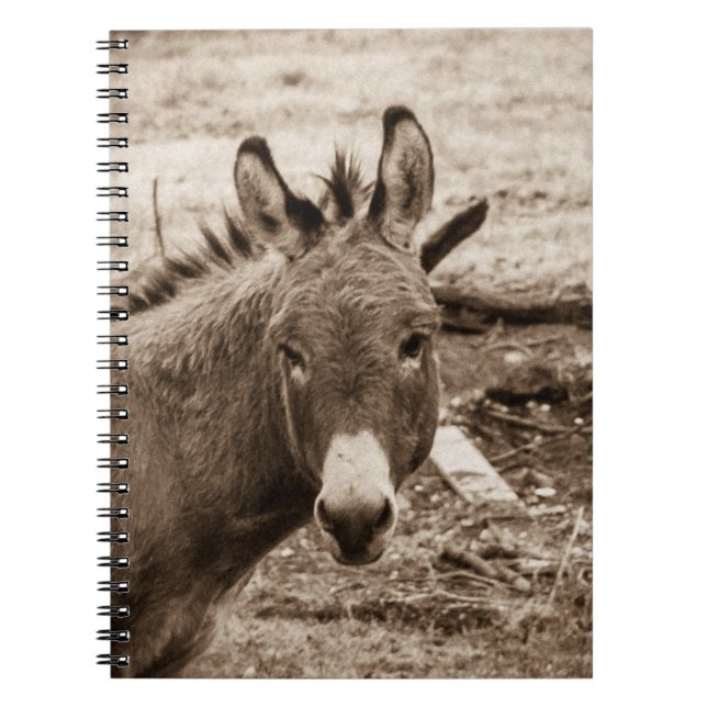 Carnet Âne (Devant)
