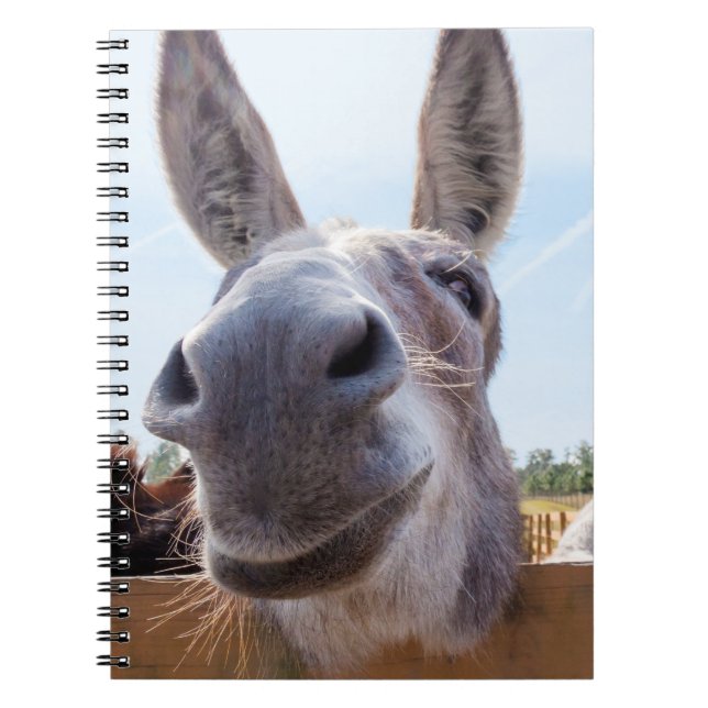 Carnet âne souriant (Devant)