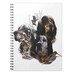 Carnet Anglais Setter, chasse à la bécasse