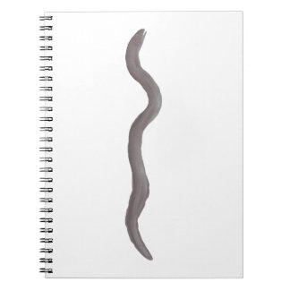 Carnet Anguille marbrée des marais