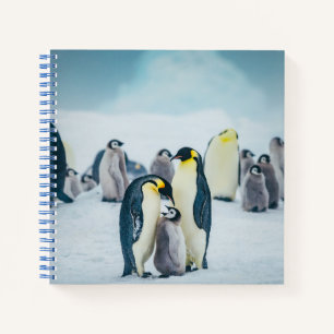 Carnet Animaux de bébés cutest   Alimentation de pingouin