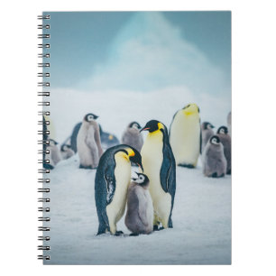 Carnet Animaux de bébés cutest   Alimentation de pingouin