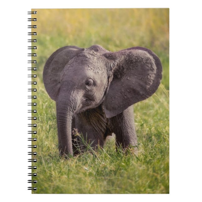 Carnet Animaux de bébés cutest | Baby Elephant Kenya Afri (Devant)