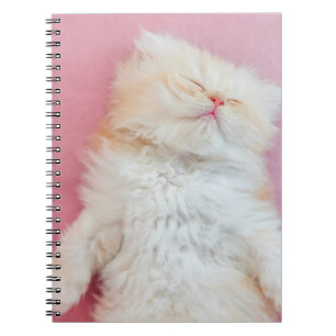 Carnet Animaux de bébés cutest   Belle Chaton Dormir