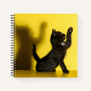 Carnet Animaux de bébés cutest Black Cat Jouer