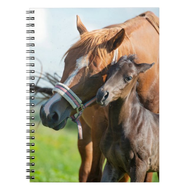 Carnet Animaux de bébés cutest | Black Foy avec maman (Devant)