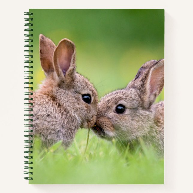 Carnet Animaux de bébés cutest | Bunny Kiss (Devant)