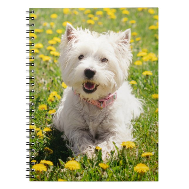 Carnet Animaux de bébés cutest | Chien Westin en Dandelio (Devant)
