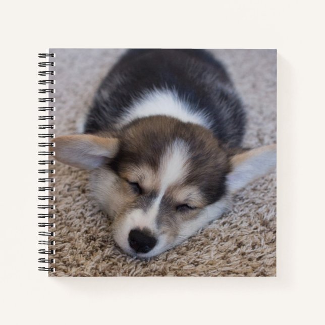 Carnet Animaux de bébés cutest | Corgi Chiot sur Shag Rug (Devant)