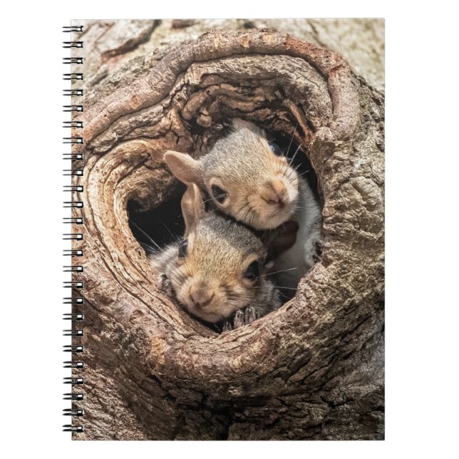 Carnet Animaux de bébés cutest | Deux jeunes écureuils (Devant)