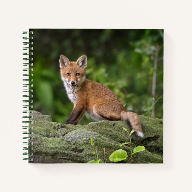 Carnet Animaux de bébés cutest | Foxy Smile (Devant)