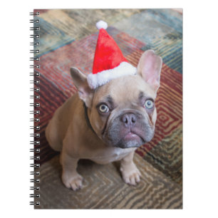 Carnet Animaux de bébés cutest French Bulldog Christmas