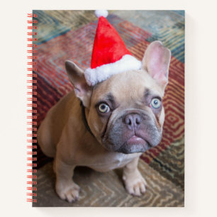 Carnet Animaux de bébés cutest French Bulldog Christmas