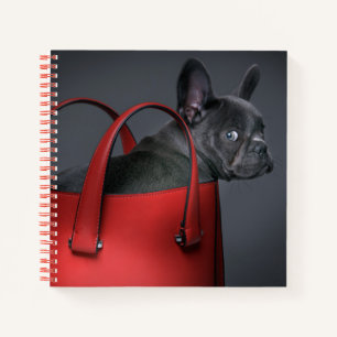Carnet Animaux de bébés cutest   French Bulldog Red Hand 