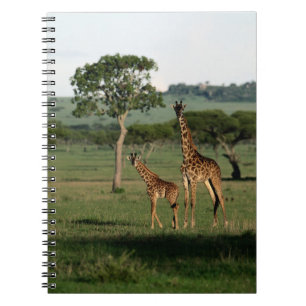 Carnet Animaux de bébés cutest   Giraffe Calf & Mama