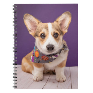 Carnet Animaux de bébés cutest   Halloween Corgi