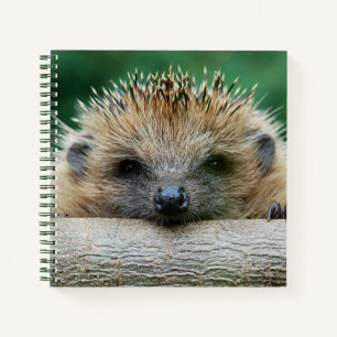 Carnet Animaux de bébés cutest Hedgehog Smile