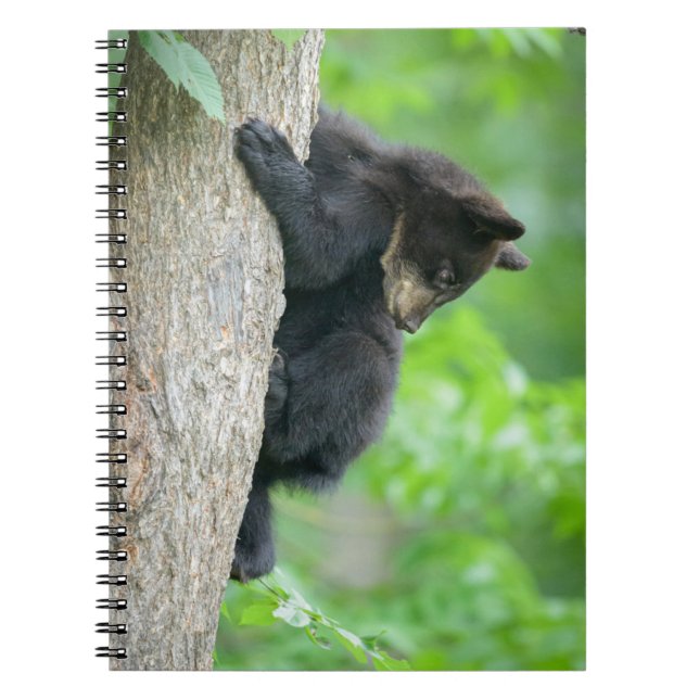 Carnet Animaux de bébés cutest | Jeune ours Ours Noir (Devant)
