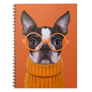 Carnet Animaux de bébés cutest   Orange Boston Terrier