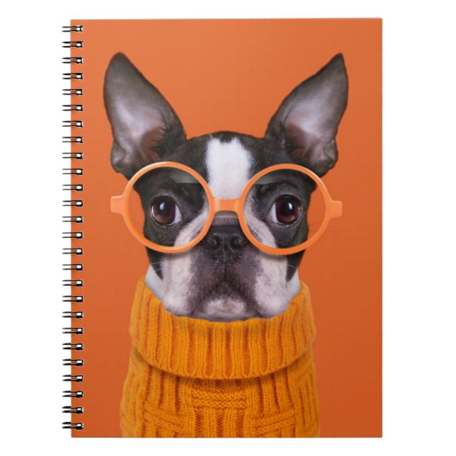 Carnet Animaux de bébés cutest | Orange Boston Terrier (Devant)
