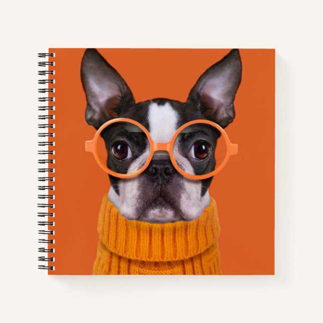 Carnet Animaux de bébés cutest | Orange Boston Terrier (Devant)