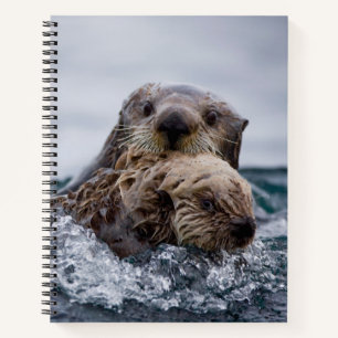 Carnet Animaux de bébés cutest Otter Baby & Mère