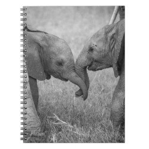 Carnet Animaux de bébés cutest   Salutation des éléphants