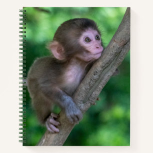 Carnet Animaux de bébés cutest Singe bébé