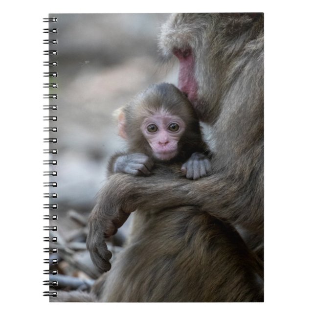 Carnet Animaux de bébés cutest | Singe et bébé japonais (Devant)