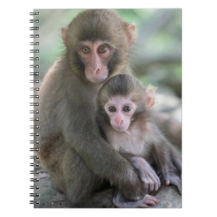 Carnet Animaux de bébés cutest Singes japonais