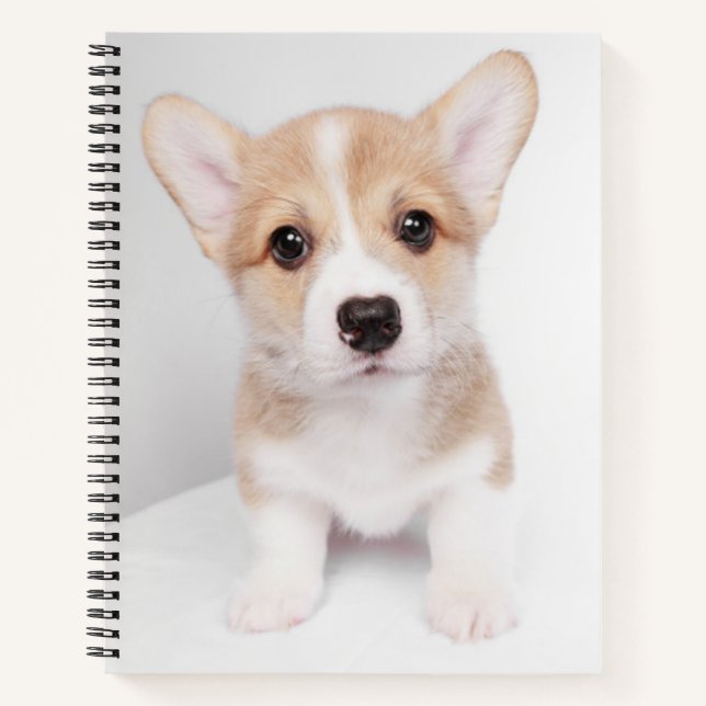 Carnet Animaux de bébés cutest | Tiny Corgi (Devant)