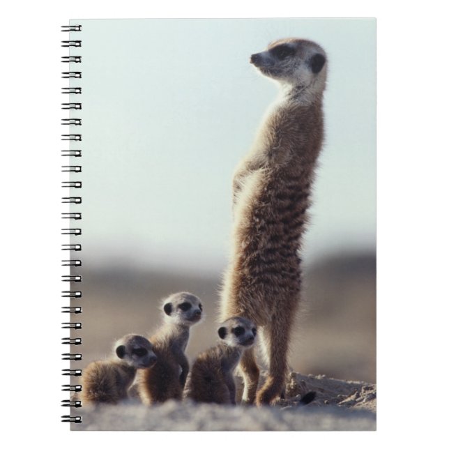 Carnet Animaux de bébés cutest | Une famille de Meerkats (Devant)