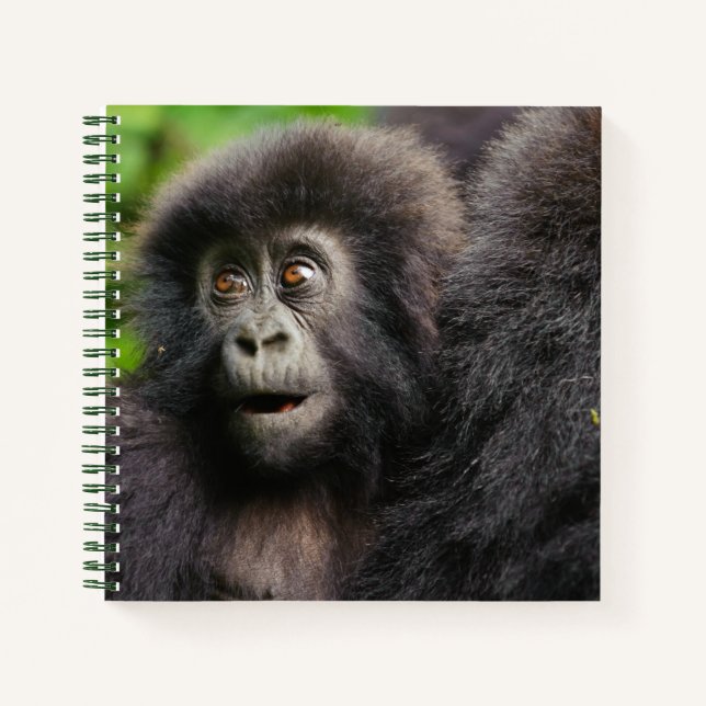 Carnet Animaux de bébés cutest | Young Mountain Gorilla (Devant)