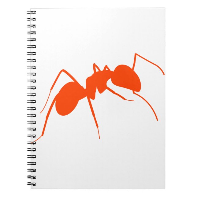 Carnet Ant orange (Devant)