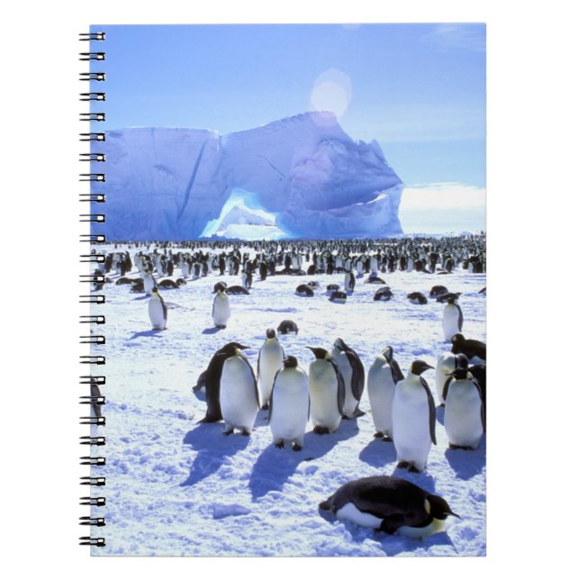 Carnet Antarctique, péninsule Antarctique, mer de Weddell (Devant)