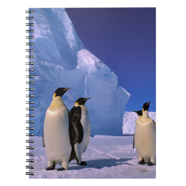 Carnet Antarctique, territoire australien antarctique, 7 (Devant)