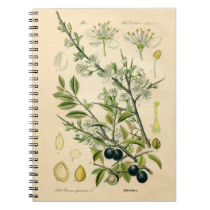 Carnet Antique Blackthorn Botanique Imprimé Fleur Berry