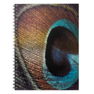Carnet Antique Hues Peacock Feather Eye