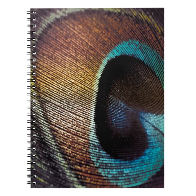 Carnet Antique Hues Peacock Feather Eye (Devant)