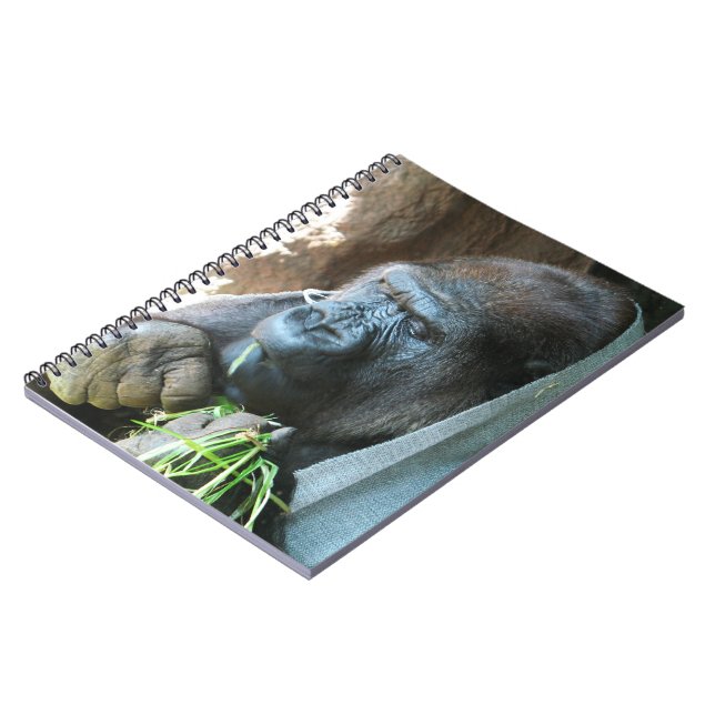 Carnet Ape hood ~ Japonais Gorilla Manger (Côté gauche)