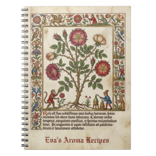 Carnet Apothicaire Illuminé Rose Médiévale