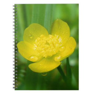 Carnet Appalachian Buttercup Notebook