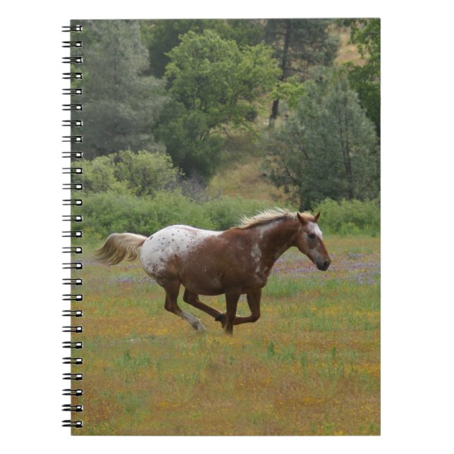 Carnet Appaloosa Horse (Devant)